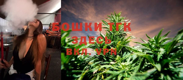 твердый Михайлов