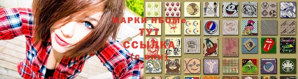 твердый Михайлов
